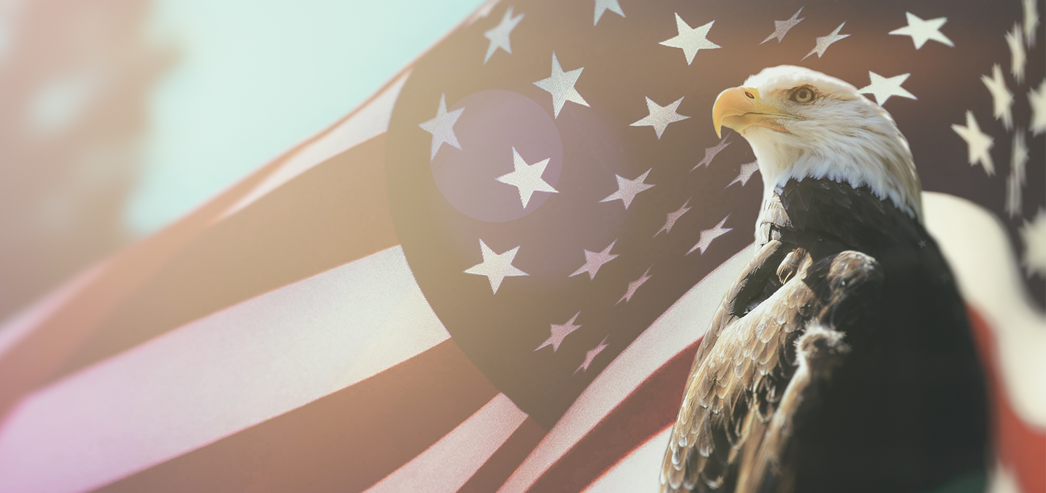 Federal Government Material Handling Solutions Provider